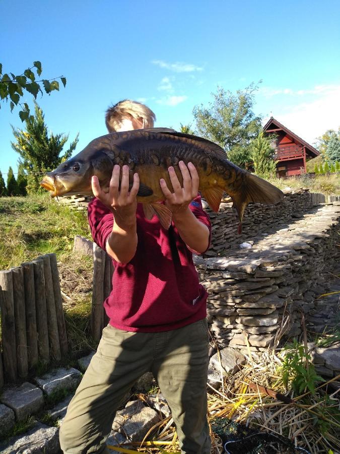Domki Caloroczne Nad Zalewem Swinemünde Exterior foto